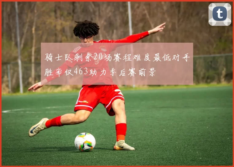 骑士队剩余20场赛程难度最低对手胜率仅463助力季后赛前景