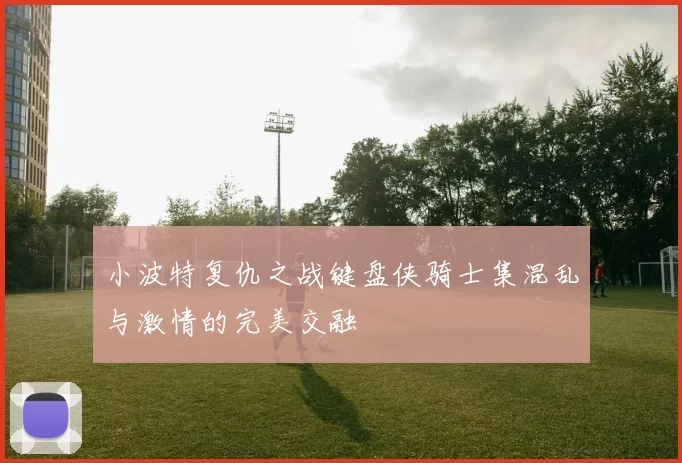小波特复仇之战键盘侠骑士集混乱与激情的完美交融